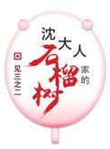 沈大人家的石榴树全文阅读