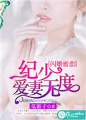 纪少宠妻无度