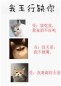 我五行缺你TXT百度资源