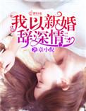 以新婚辞旧情全集免费