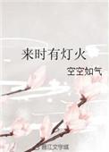 来时有灯火番外林疆篇原文