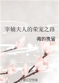 宰辅夫人的荣宠之路晋江