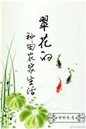 电视剧翠花的幸福生活