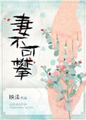 妻不可攀资源