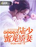 漫漫婚宠陆少求放过