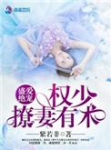 盛婚秘爱权少追妻