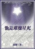 他是璀璨星光阅读