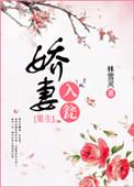 娇妻入瓮无防盗章