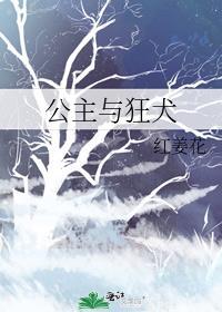 犬公主公主睡觉