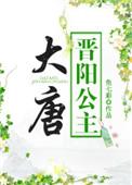 大唐晋阳公主300集连播