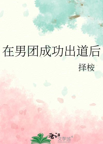 在男团成功出道后韩娱免费