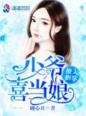 少爷错撩