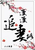 漫漫追妻路快手剧