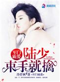 豪门霸爱军少的小甜妻