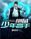 绝品少年高手免费阅读