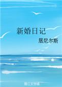 新婚日记讲什么