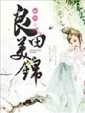来收账免费阅读