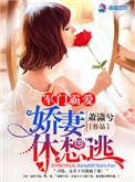 军门宠妻娇妻难驯