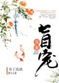 盲宠 布丁琉璃