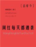 网红每天都遇袭古穿今txt