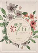 就等你上线了无弹窗免费阅读
