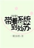 带着系统去快穿风飘西