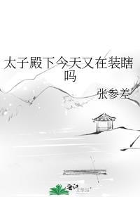 太子殿下又被拐了吗原耽