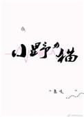 小野猫图片