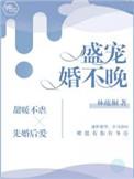 盛宠婚不晚 百度