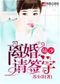陆少离婚请签字免费阅读