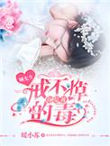 顾先生您娶我稳赚不赔免费