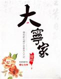 大宁家装公司是正规公司吗
