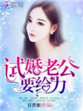 试婚老公用点力全文阅读