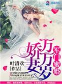 军门娇妻太撩人