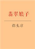 翡翠小娘惹分集剧情介绍