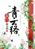 农门青云路txt