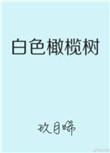 白色橄榄树电视剧免费观看全集