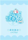 丞相追妻记 书名推荐