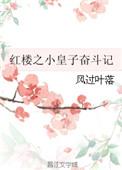 穿越红楼皇子的长篇