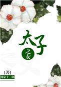 太子妃之亡