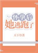 怀孕后她逃跑了天下月讲的什么