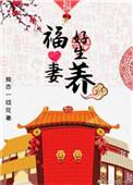 妻好终生福完整版