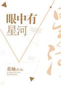 眼中有星河写的