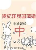 贵妃在明国离婚