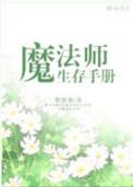 魔法师生存手册番外