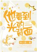 他看到光的背面全文