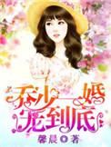 乔少一婚宠到底免费阅读