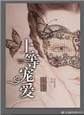 上等宠爱 穿越