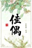 佳偶天成剧情分集介绍