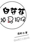 白莲花掉马后简介和历史背景故事